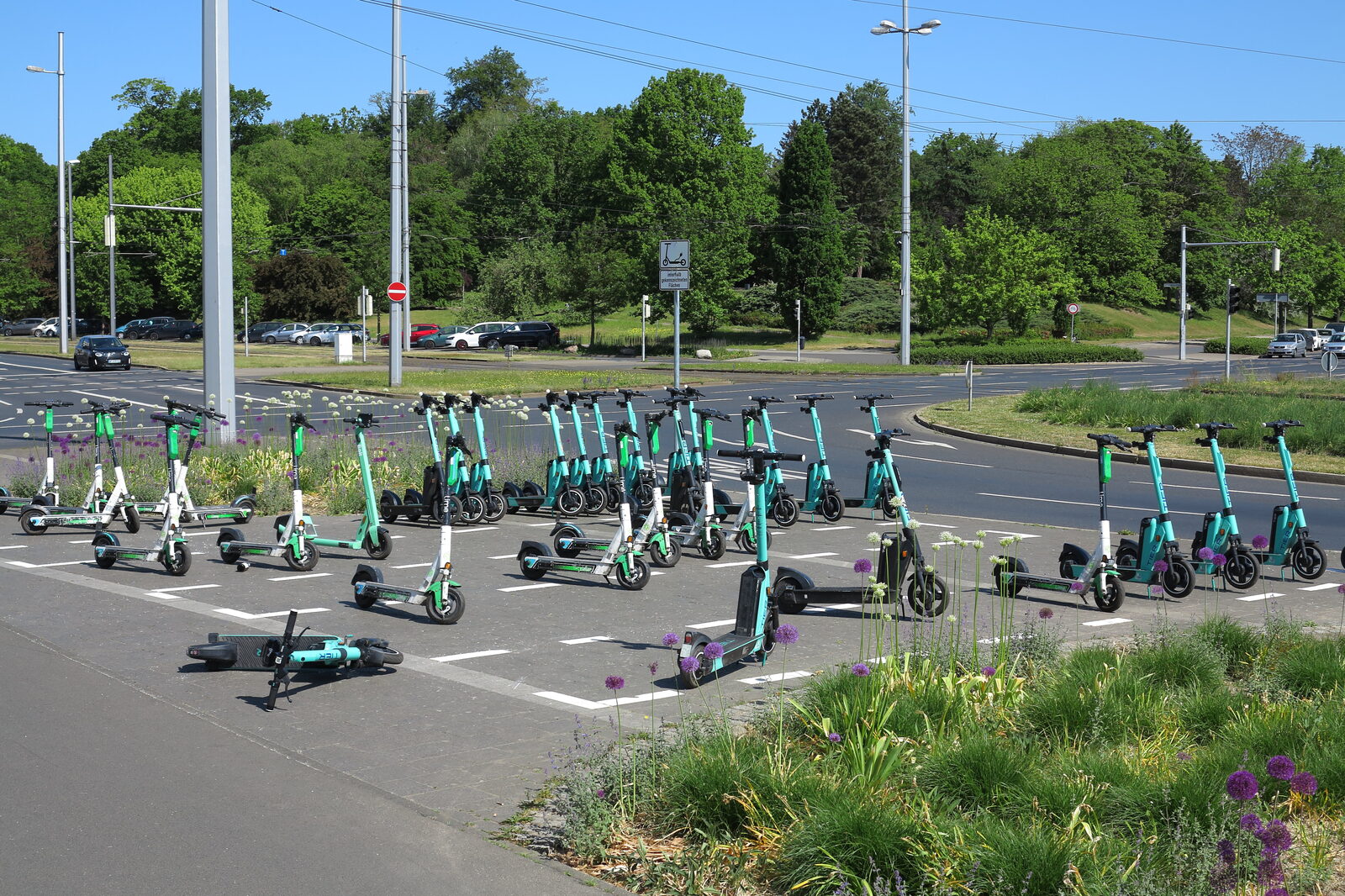 Dutzende Leih-E-Scooter verschiedener Anbieter auf einer markierten Abstellfläche am Braunschweiger Hauptbahnhof, einer liegt umgekippt am Boden