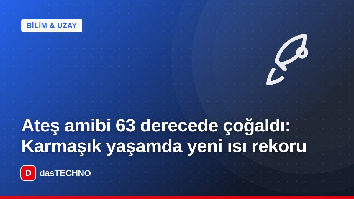 Kapak görseli: Ateş amibi 63 derecede çoğaldı: Karmaşık yaşamda yeni ısı rekoru