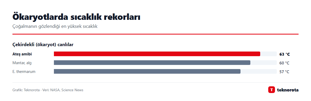 Grafik: dasTECHNO · Veri: NASA, Science News Ökaryotlarda sıcaklık rekorları