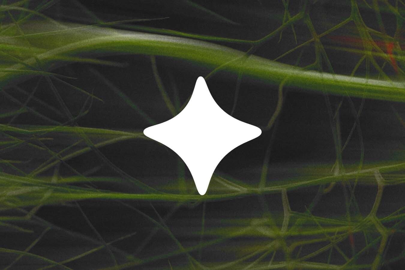 KI-Symbol von Ecosia, ein weißer vierzackiger Stern vor grünen Pflanzenfasern
