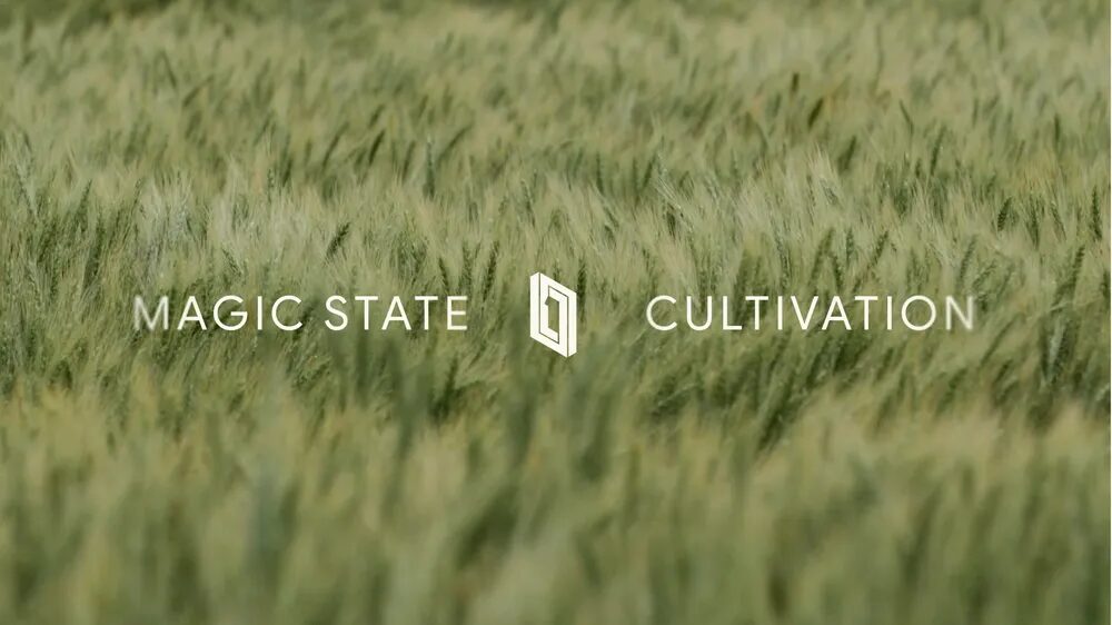 Rüzgârda dalgalanan buğday tarlası üzerinde Magic State Cultivation yazısı
