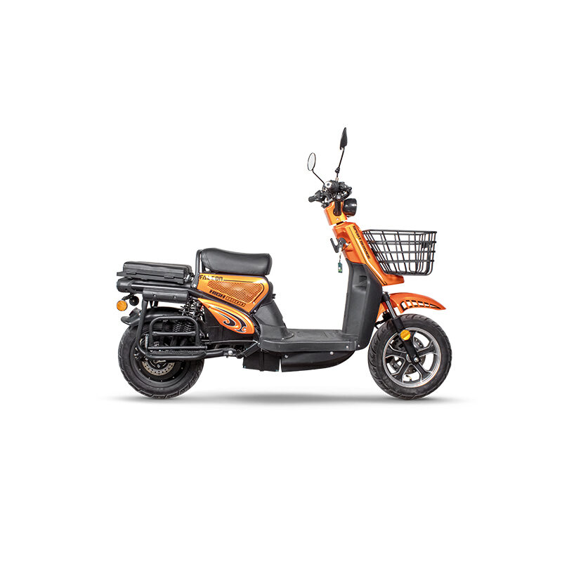 Falcon Sport Service resmi ürün fotoğrafı